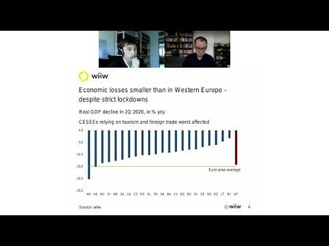 wiiw Economic Forecast for Eastern Europe (Autumn 2020)