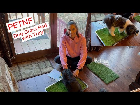 PETNF Dog Grass Pad with Tray great indoor or outdoor! #dogs #doglover #dog