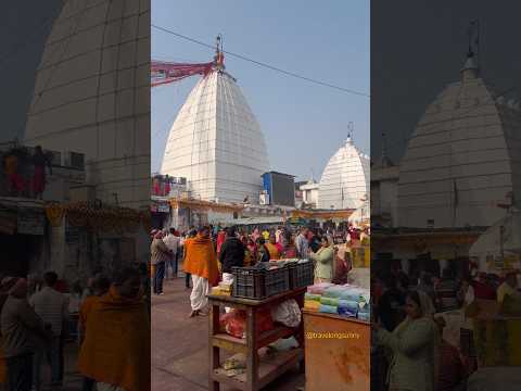 Jai Baba Baidyanath | Baidyanath Dham | Baidyanath Jyotirling #baidyanathjyotirling #shorts #viral