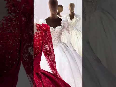 Amanda Novias 2024 wedding dress collection say yes to the dress