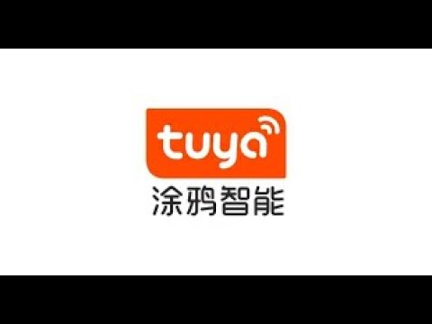 TUYA.US 「AIoT 概念升溫，TUYA 這波能飛多遠？」