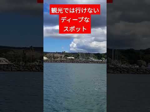 【ハワイ生活】観光では行けないディープなスポット。ハワイ ハレイワ ノースショア Hawaii Haleiwa North Shore #shorts