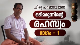 ഒടി മരുന്നിന്റെ ചേരുവ (ഭാഗം -1) Odiyan Story Malayalam | Odiyan Kathakal | Achuthan Meppadi