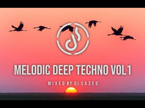 Dj Sa3ed - Melodic Deep Techno 2020 [Vol1] [ Special Trippy Code Records ]