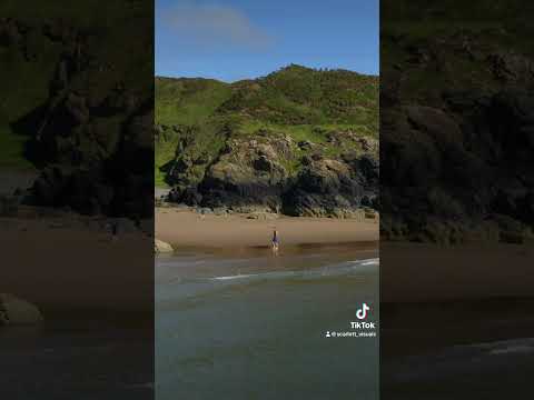 Summer beach walks along Knock Bay #shorts