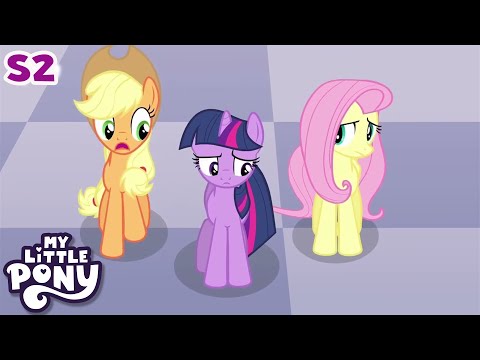 May the Best Pet Win! | COMPILATION | My Little Pony: Friendship Is Magic | CARTOON |