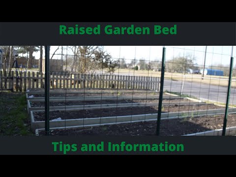 Raised Garden Bed - Tips and Information