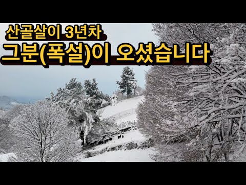 귀촌댁집밥 | 산골주택살이 3년차 또 만난 그분 폭설 / 겨울밥상 배추전, 샤브샤브 / 고립전 장보기 /드디어 산골길에 맞는 눈삽(장비)을 찾았어요 / 항아리 훈제 삼겹살