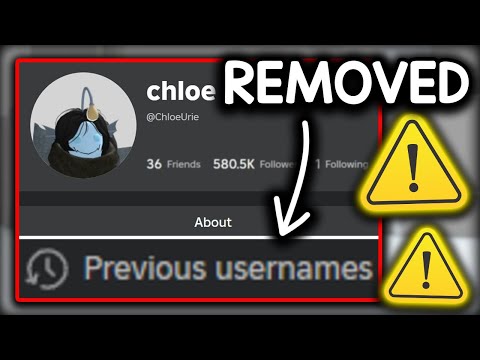 Roblox REMOVED Previous Usernames...