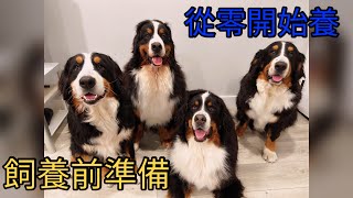 【伯恩山聯萌】從零開始養｜飼養前準備