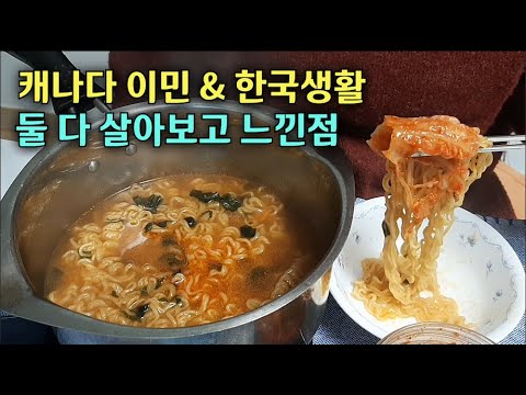 20대에 혼자 이민 지금은 40후반 1인가구 일상 vlog 캐나다 이민생활 한국생활 각각 장단점