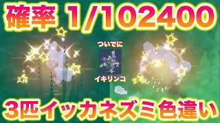 【検証】確率1/102400の色違いイッカネズミ3匹家族は何時間で捕まえられる？～Part4：1.5時間やる～【ポケモンSV/スカバイ】