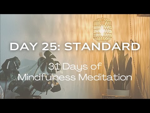 Day 25: Standard 🧘🏾‍♀️ 31 days of mindfulness meditation #mindfulnessmeditation #meditation