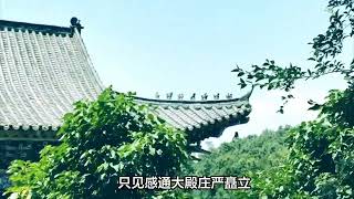 独攀大理苍山（三）：感通寺里最绝妙的所在！