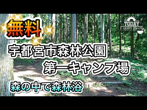 【栃木】完全無料！ダムの周辺で森林浴！宇都宮市森林公園キャンプ場　栃木　茨城　関東　無料&格安キャンプ場