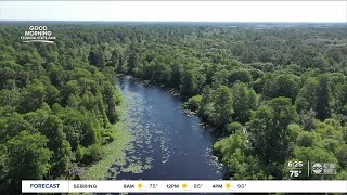 Walking Club: Exploring Lettuce Lake Park