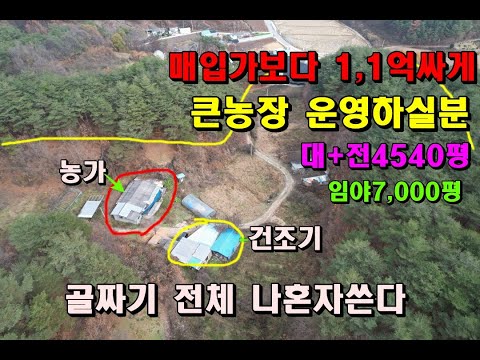 (매매완료)망한농장~ 당초매입가보다 농가주택포함 1,1억싸게 큰농장하실분/골짜기 전체나만쓴다/대+전+목장+임야11,491평/봉화부동산매매/봉화토지매매