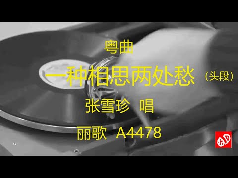 粤曲  《一种相思两处愁》  -   张雪珍