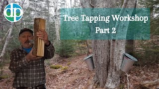 Tree Tapping: The Science Behind Maple Sap Production