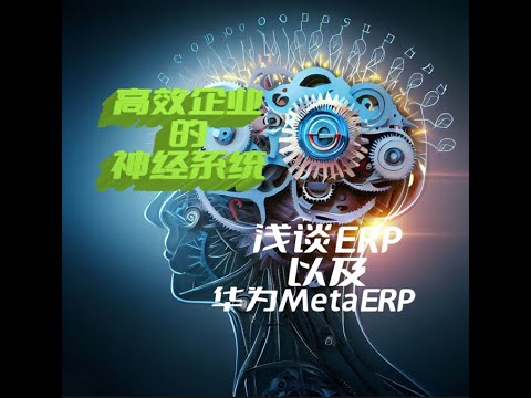 高效企业的神经系统：浅谈ERP以及华为MetaERP