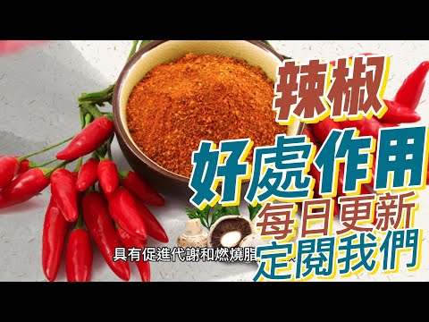 EP 177 辣椒（Chili Pepper）的好處與作用 抗菌作用 增強代謝 提升免疫力