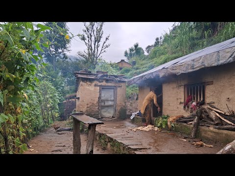 Beautifull and Peacefull Realxing Nepali Mountain Village Life | Daily Activities Village People |