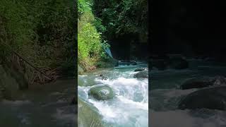 Soothing River Sounds 🍃 #nature #satisfying #relaxationforsleep #relax #relaxingvideos #riversounds