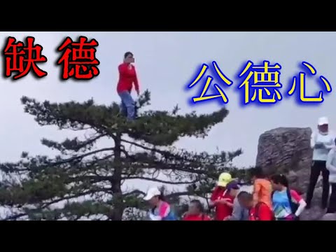 为什么中国人普遍没有公德心和公民意识？为什么中国人择偶喜欢选择乖的和听话的？挂领导字画仅仅是攀附领导吗？ | 解毒中国文化031 | 中国文化的深层结构 | 个人的不发展1——从身体动作看出端倪