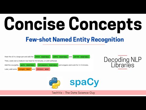 Few-shot Named Entity Recognition | Decoding NLP Libraries (Concise Concepts)