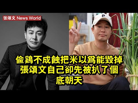 偷雞不成蝕把米？以為能「毀掉」张颂文，自己卻先被扒了個底朝天 #张颂文 #zhangsongwen #zhangsongwen张颂文