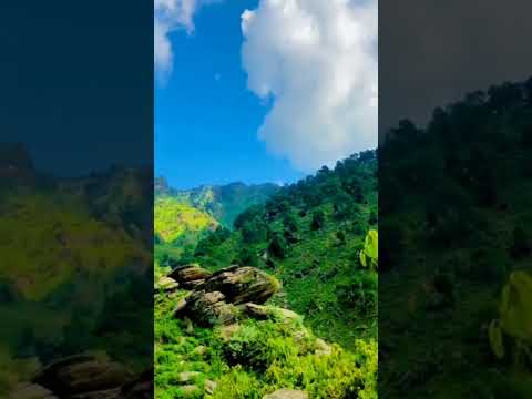 #swat_valley#shorts#youtubeshortsvideo#beautyof swat#switzerlandofpakistan