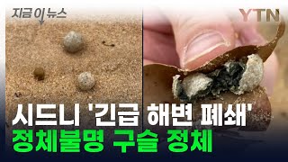 정체불명 구슬 또 생겼다? 시드니 해변 '긴급 폐쇄' [지금이뉴스] / YTN