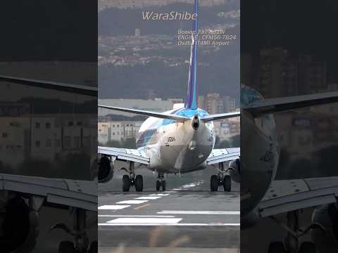 ANA B737-800 | Wonderful takeoff seen from Senri River | Osaka ITAMI Airport