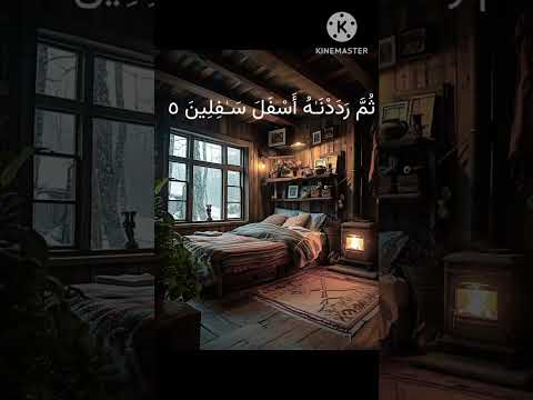 Surah At-tin beautiful Recitation for sleep