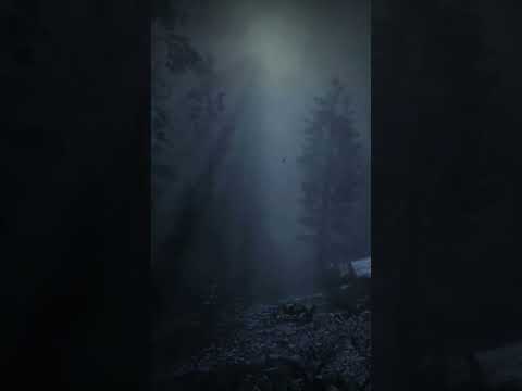 Werewolf Ambience