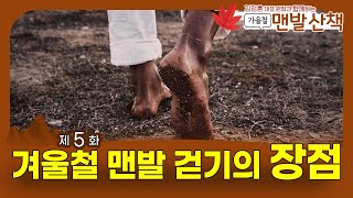 🍁맨발 산책 시즌2 제5화 : 겨울철 맨발 걷기가 좋은 이유는?