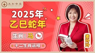 麦玲玲师傅详解2025蛇年运程：生肖马！事业运、财运、人际关系、爱情、婚姻、健康全解析！