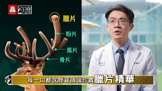 郭大維中醫師推薦！吃不好睡不好氣不足你就需要「天鹿御方精華飲」