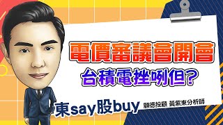 2024/09/30  東say股buy 黃紫東 【電價調漲電子股大修正? 為何新復興、奇鈦科超強】#台積電#新復興#奇鈦科