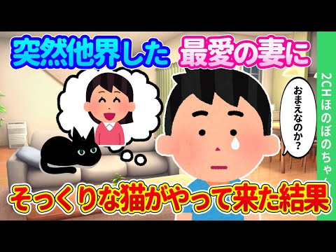 【2chほのぼの】最愛の妻が亡くなり希望を失った俺のところにふらりとやってきた猫に、「おまえなのか…？」と聞いた結果…【ゆっくり】