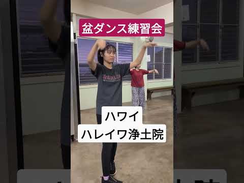 【ハワイ生活】ハレイワ浄土院 盆ダンス練習会 ハワイ #shorts