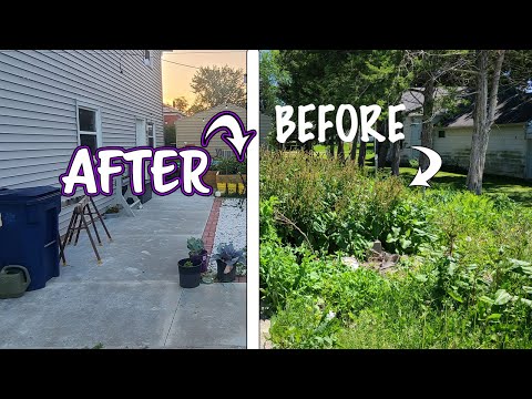 Patio Build with Outdoor Smart Lights