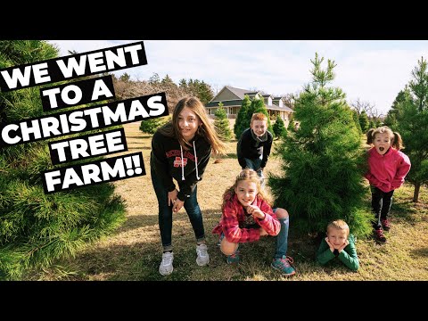 WE WENT TO A CHRISTMAS TREE FARM 🎄 | Wells Family Christmas Tree Farm | Norman Oklahoma