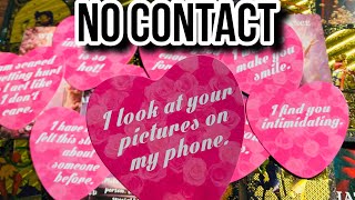 No Contact 🚫☎️📞 Their Feelings & Thoughts 💕💖 Timeless Tarot 💖💖 Hindi-Urdu 💞💕