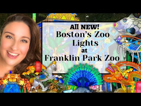 This Weekend Zoo Lights | New at Franklin Zoo | Things to do Tonight