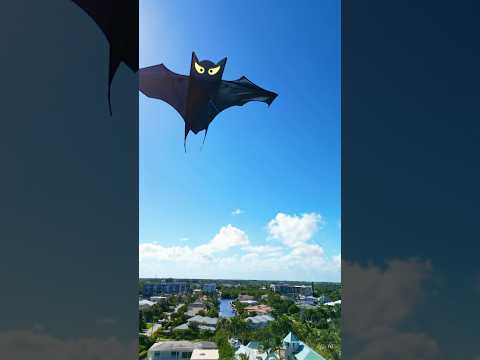 Bat Kite 🦇🪁