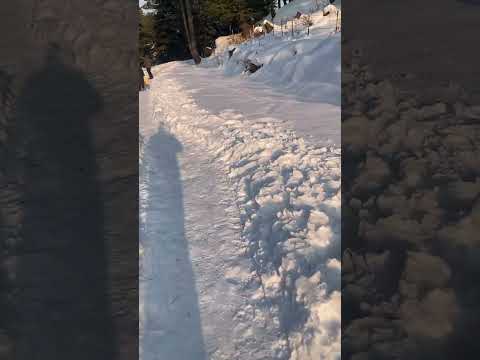 On foot to Aherbal waterfall in snow blocked roads #kashmirinwinters #travel