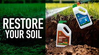 How to restore your soil and keep your lawn hydrated during heat - Soaker & Kelper