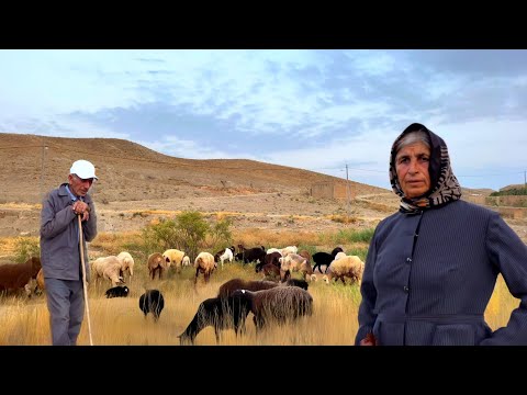 Secrets of Iranian nomadic life in mountain |  Rural shepherd woman in the most beautiful Village