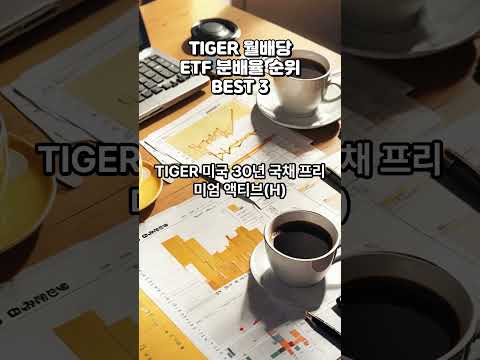 Tiger 월배당 ETF 분배율 순위 BEST 3 #월배당etf